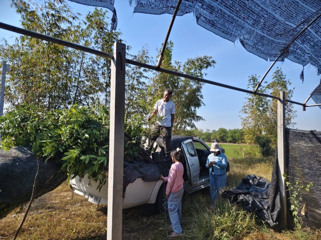 BKA ลุยไม้ล้อมยอดนิยม