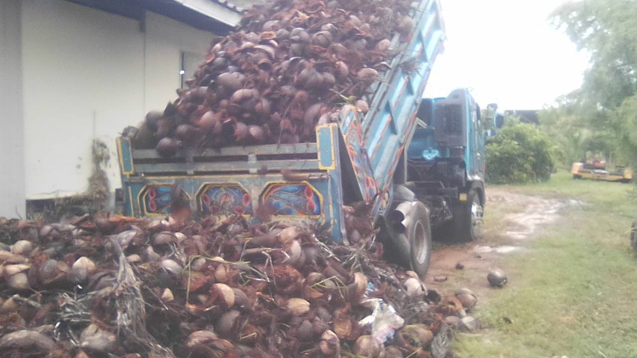 กาบมะพร้าวโครงการคนละครึ่ง