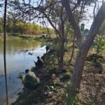 สวนเตยริมบ่อ