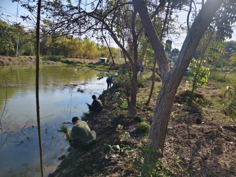 สวนเตยริมบ่อ