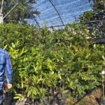 BKA ลุยไม้ล้อมยอดนิยม