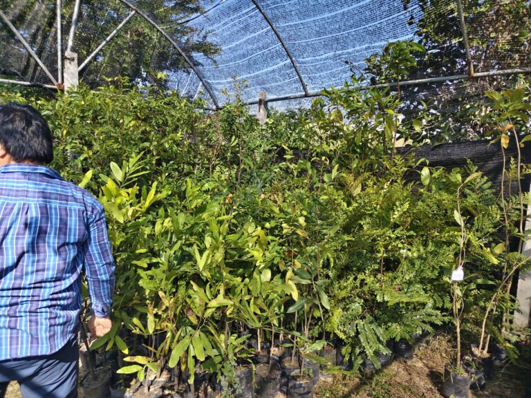 BKA ลุยไม้ล้อมยอดนิยม