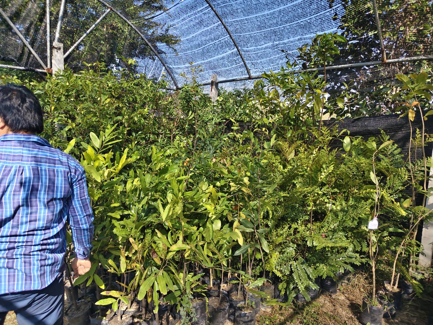 BKA ลุยไม้ล้อมยอดนิยม